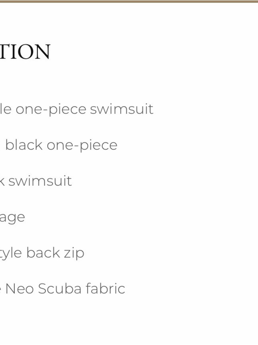 Albion Crush One-Piece Swimsuit — Black with Gold Zipper - Picture 4 of 7